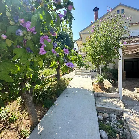 Kurtov 2